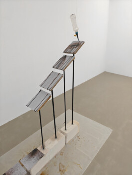 robin c wolf
